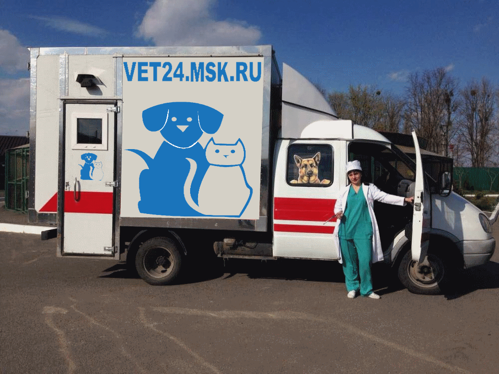 Вакансии ветеринарного врача и работа для ветеринаров в Москве и Московской области