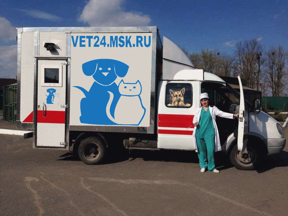 Вакансии ветеринарного врача и работа для ветеринаров в Москве и Московской области Вакансии ветеринарного врача и работа для ветеринаров в Москве и Московской области